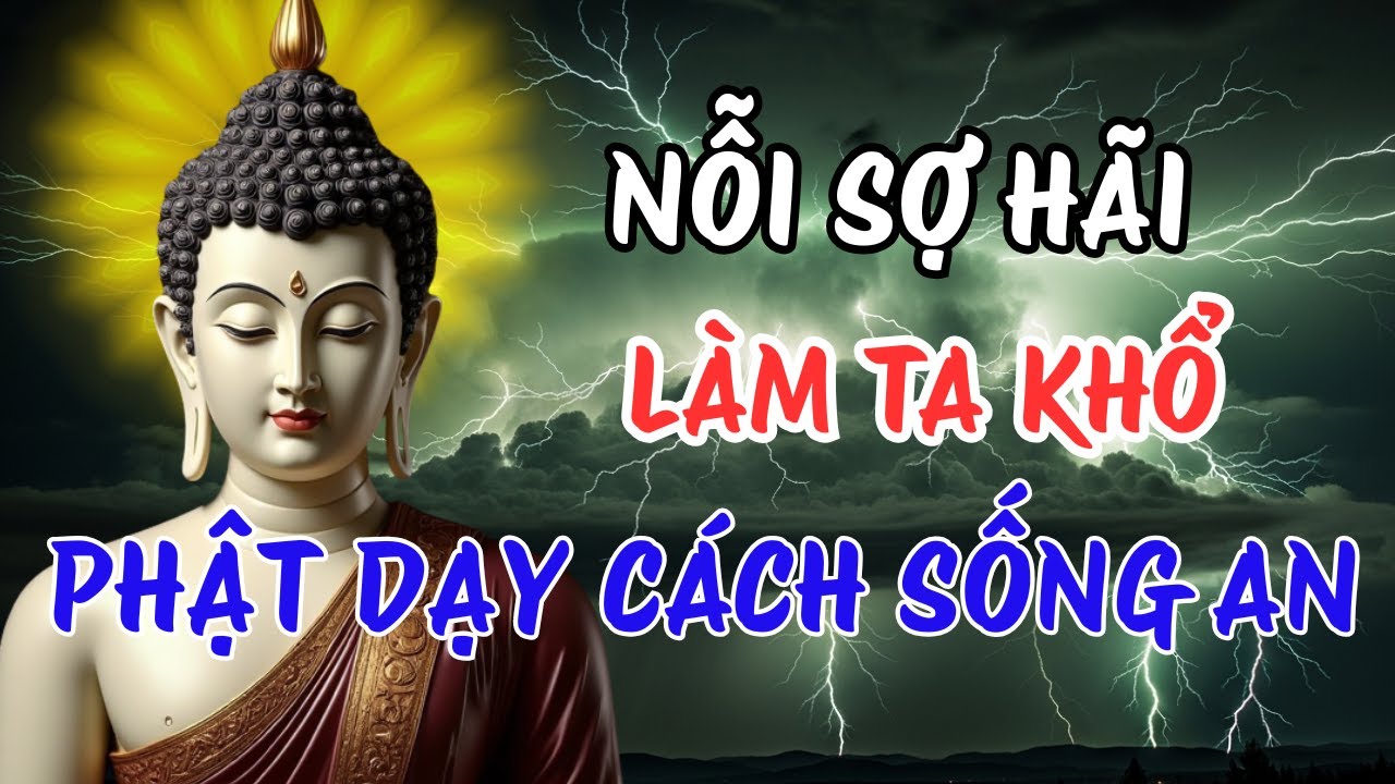 Lời Phật Dạy Về Nỗi Sợ Hãi – Sợ Mất Sợ Già Sợ Bệnh Sợ Không Được Yêu Thương