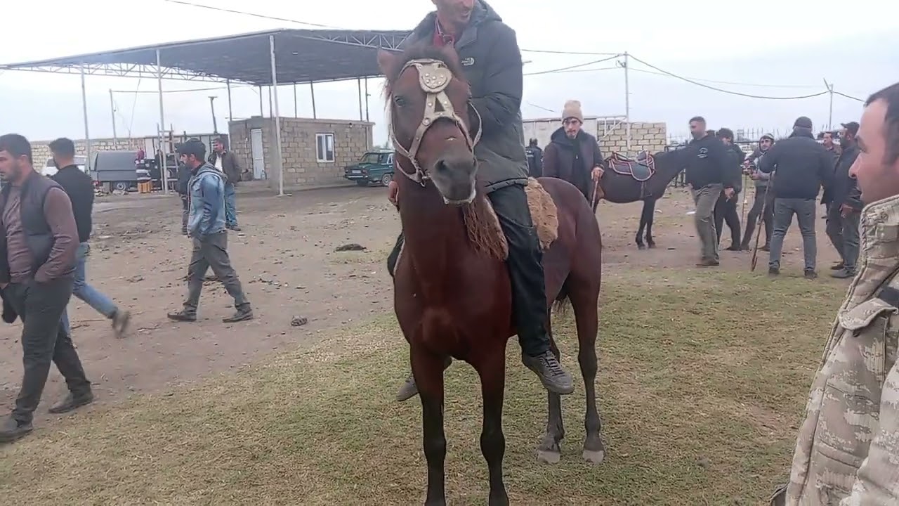 BERDE AT BAZARI 17.10.2025.050.571.71.57