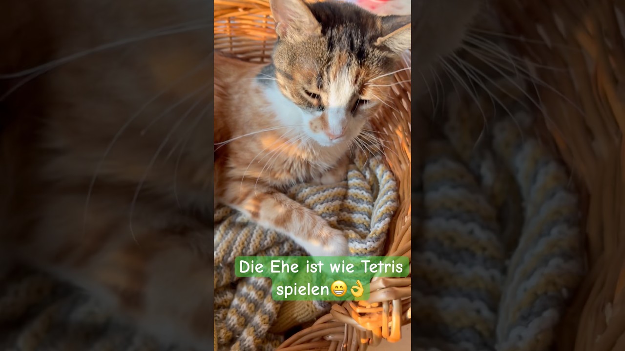 So fein gesagt 😎👍 #funny #heftig #comedy #lustig #nikitamiller #lustigevideos #spa&szlig;