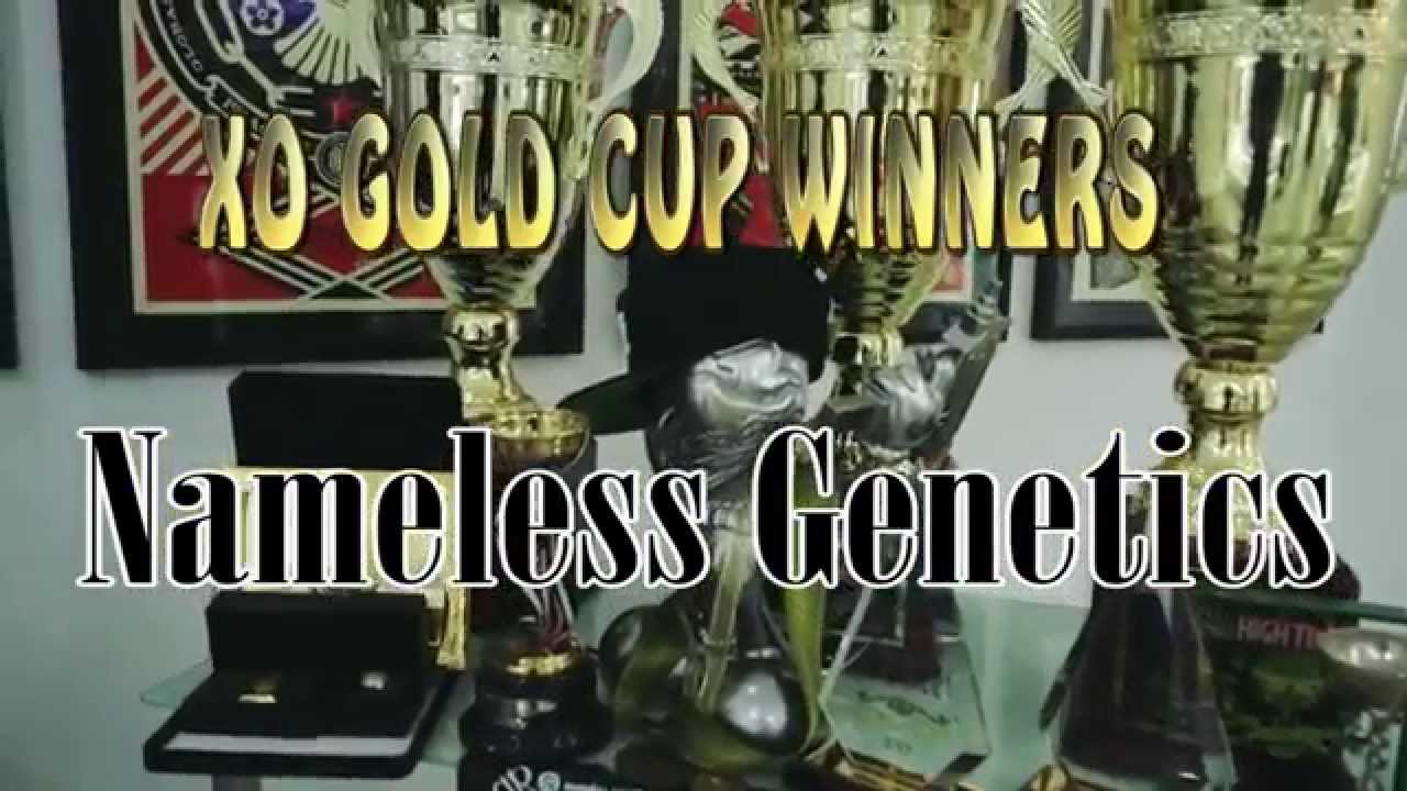 Nameless Genetics Won 3 Categories