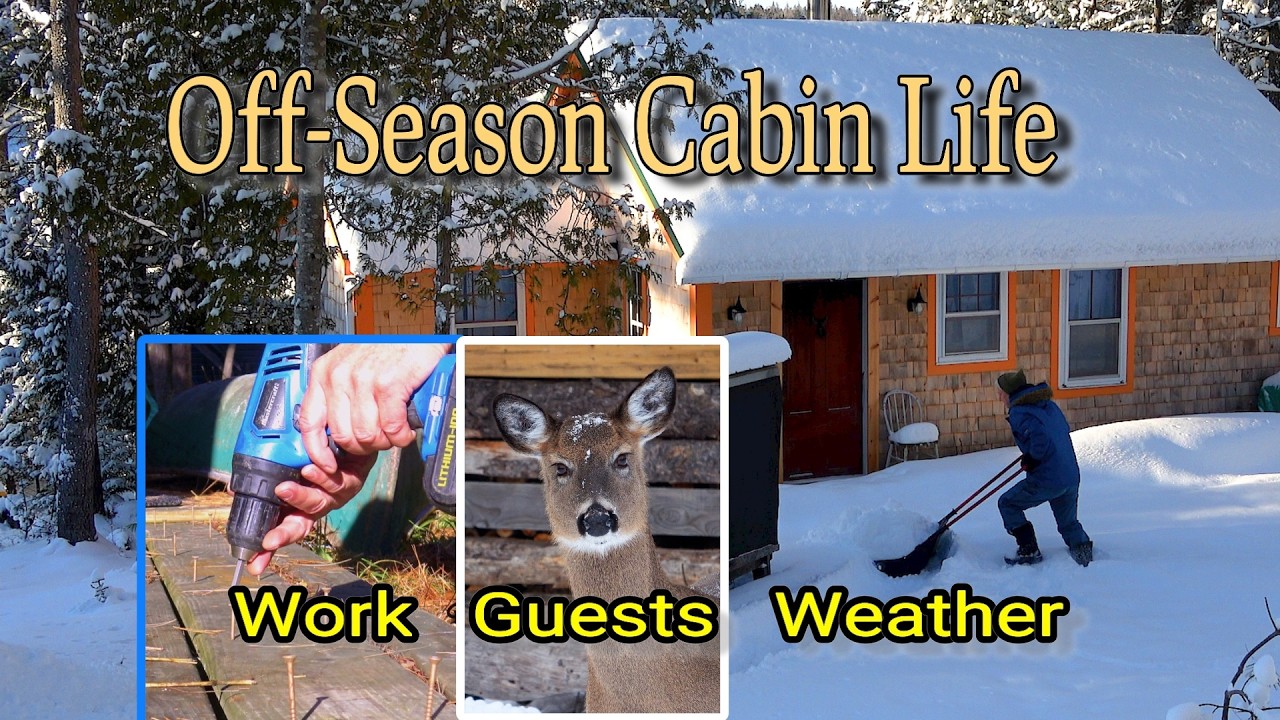 Off-Season Cabin Life: Work, Guests and Weather