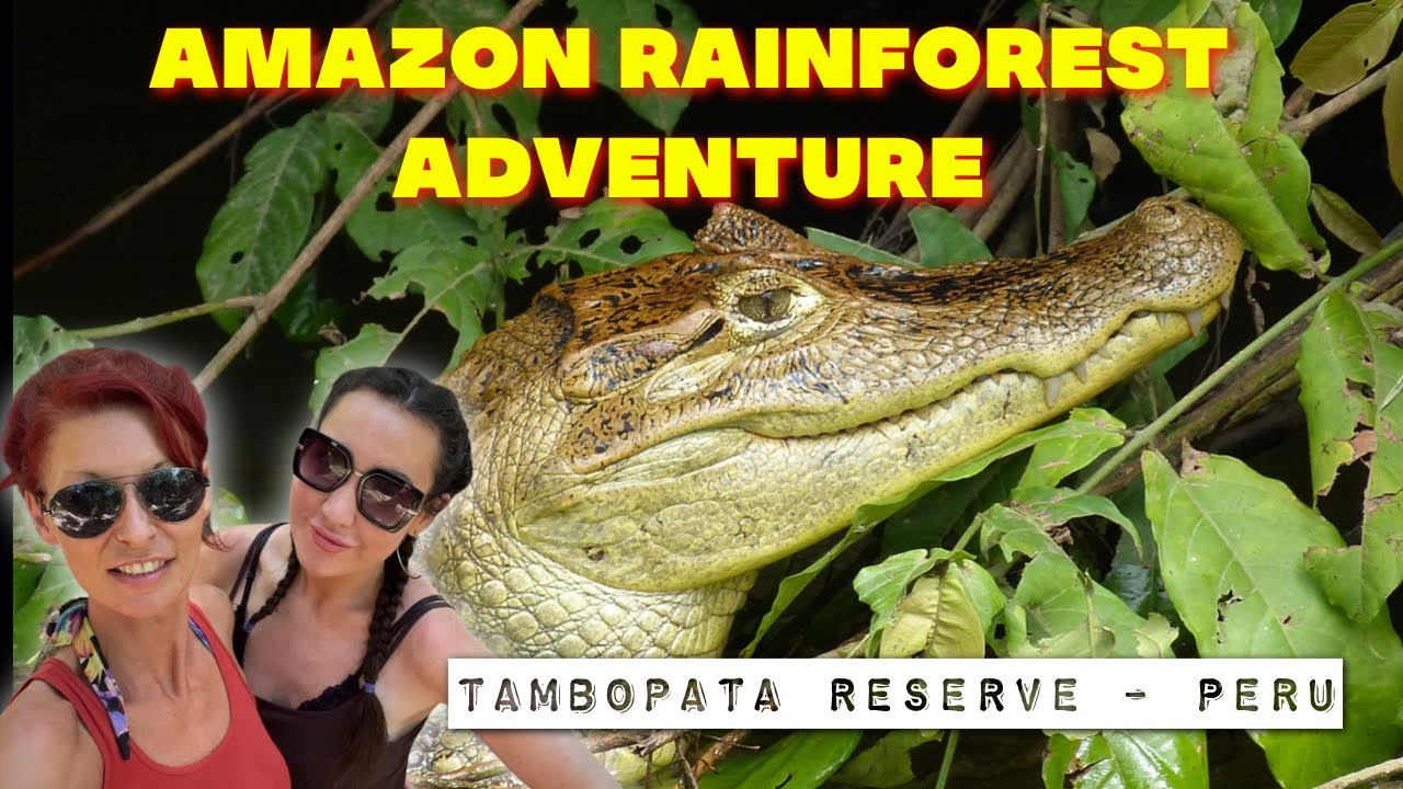 AMAZON RAINFOREST | Tambopata National Reserve | Amazon Rainforest Peru