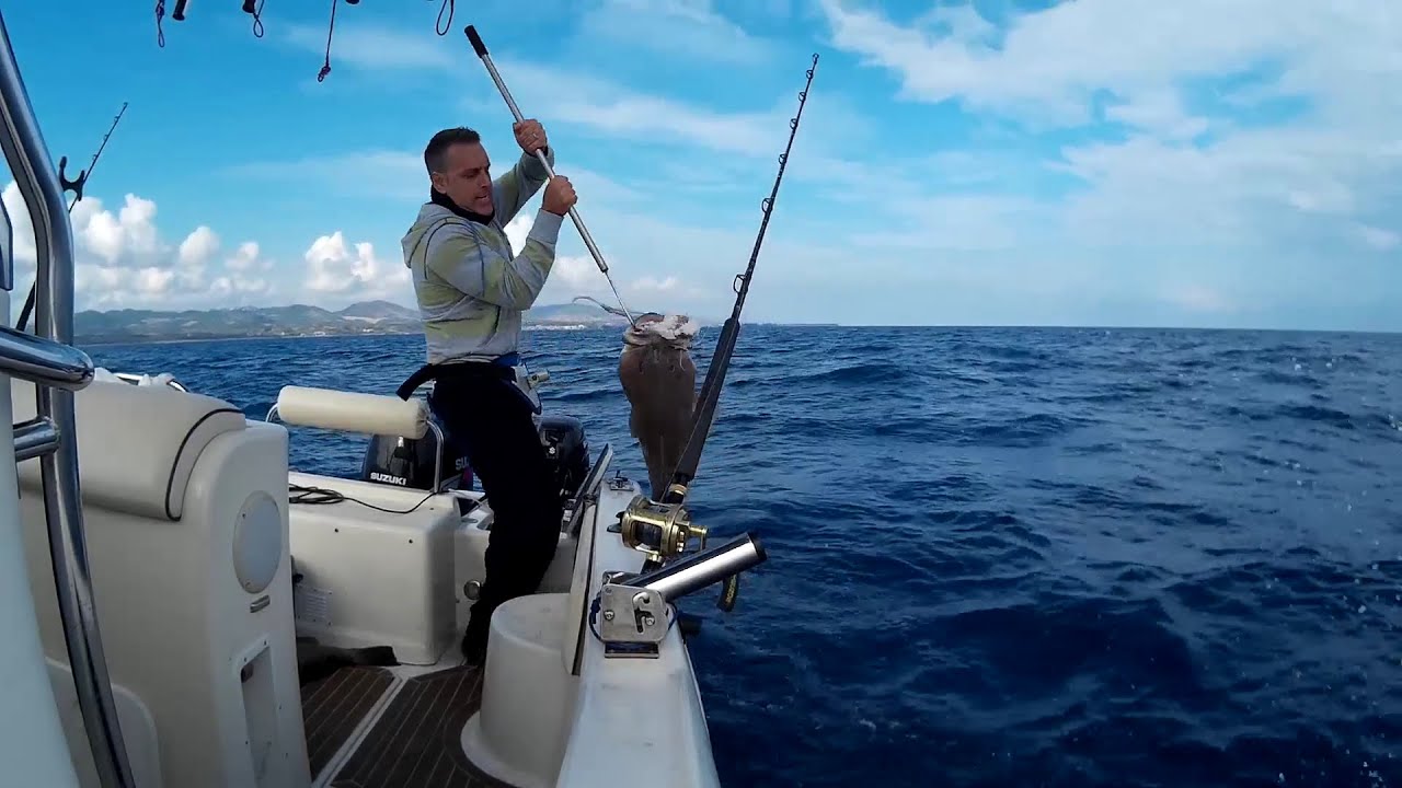 Pesca A Caccia di cernie partenze in diretta grosse cernie bianche Tassone Sport Fishing