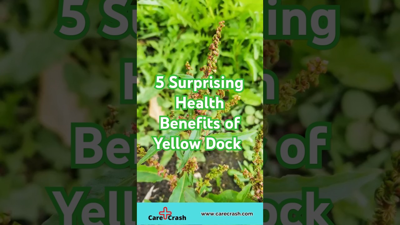 5 Surprising Health Benefits of Yellow Dock for Detox and Skin Health! | #carecrash