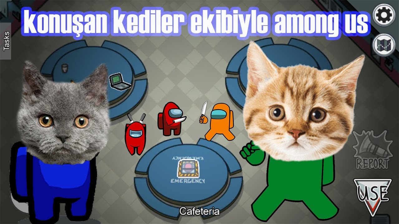 KONUŞAN KEDİLER EKİBİYLE AMONG US OYNUYORUZ
