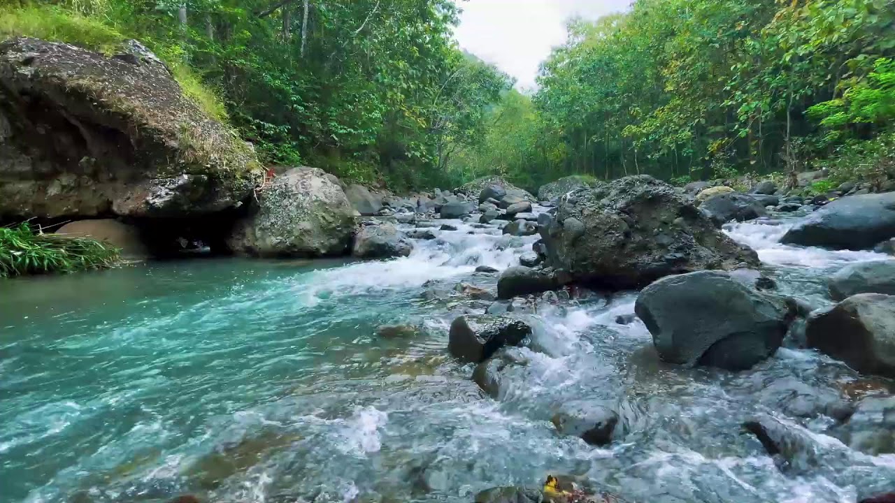 River Sounds for Deep Sleep (No Music, Natural Water)