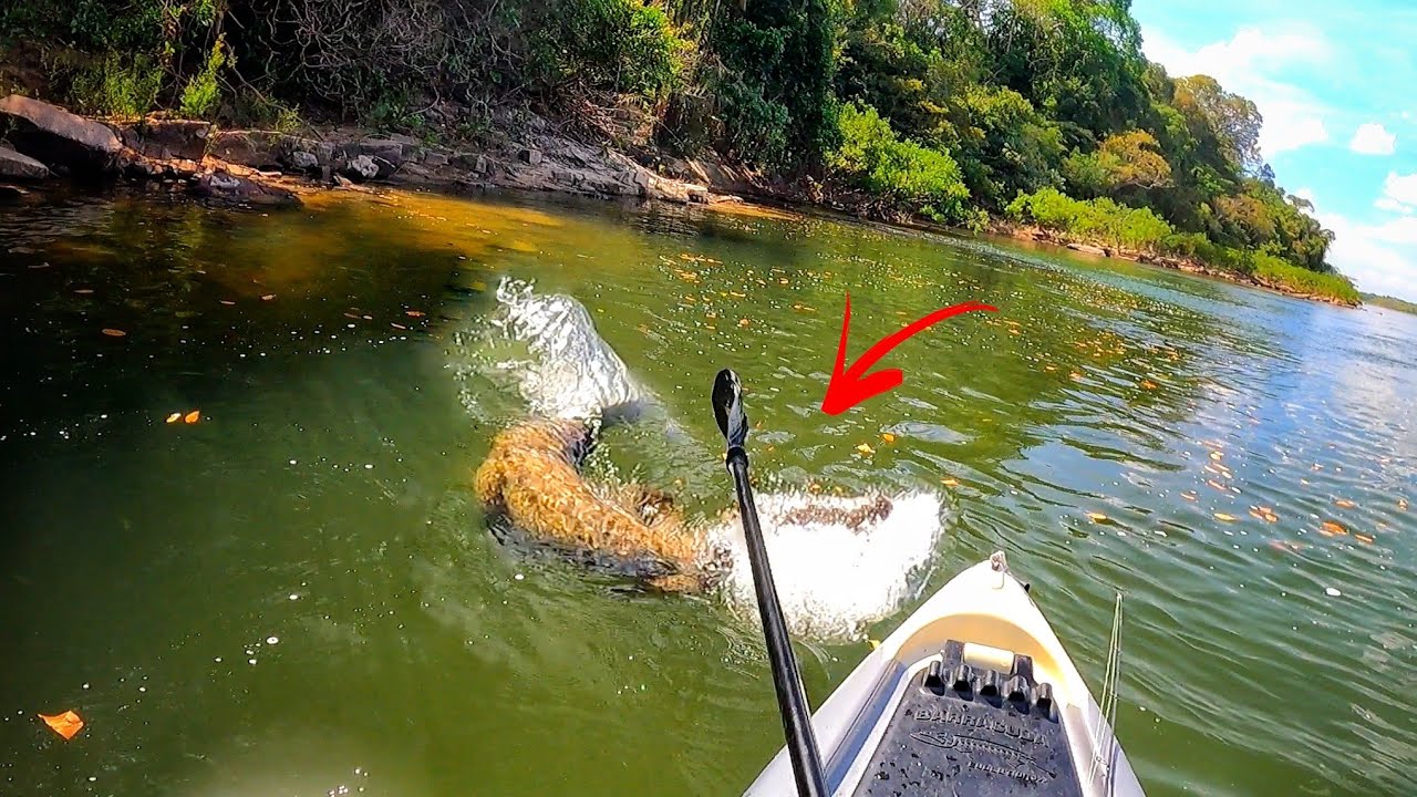 MOMENTOS DE TENSÃO!!! ELE VEIO PARA CIMA COM RAIVA... TIVE QUE ME DEFENDER COMO DEU... Pescaria.