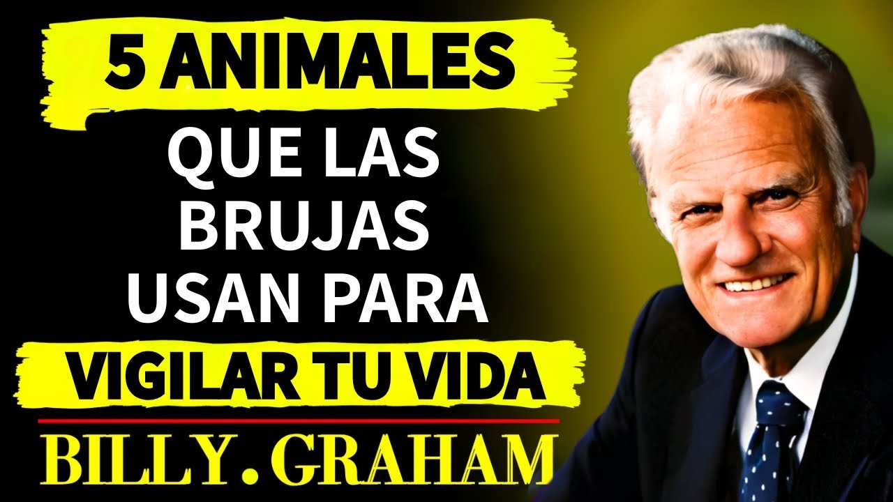 5 TIPOS DE ANIMALES QUE LAS BRUJAS USAN PARA VIGILARTE SIN QUE TE DES CUENTA