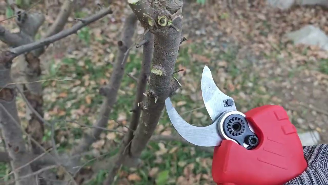 JOVANT Electric shears for your garden.#tools #powertools #electricscooter #gardener
