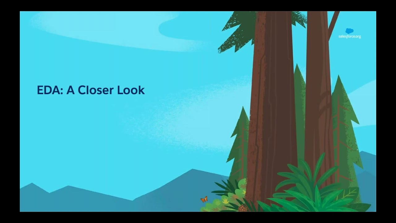 Salesforce Fundamentals for Education EDA Deep Dive #CRM #Salesforce #Learning