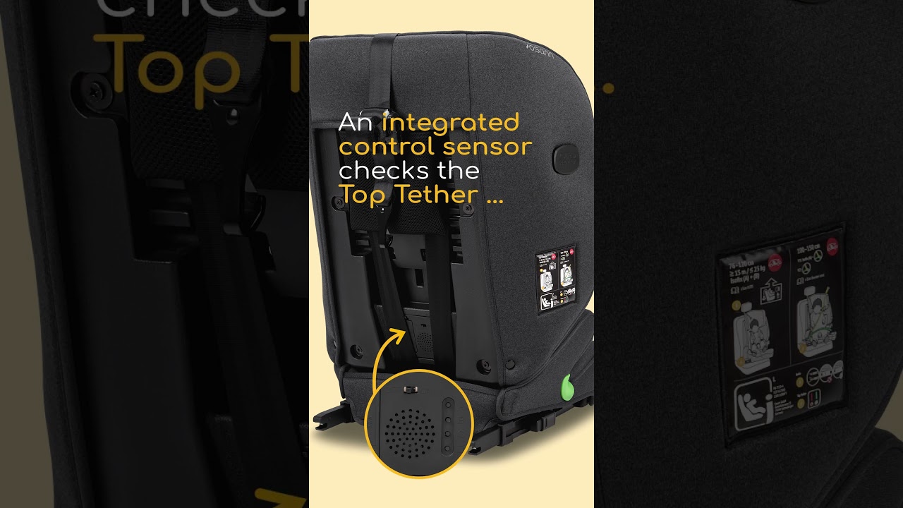 Osann — Flux Isofix eXT