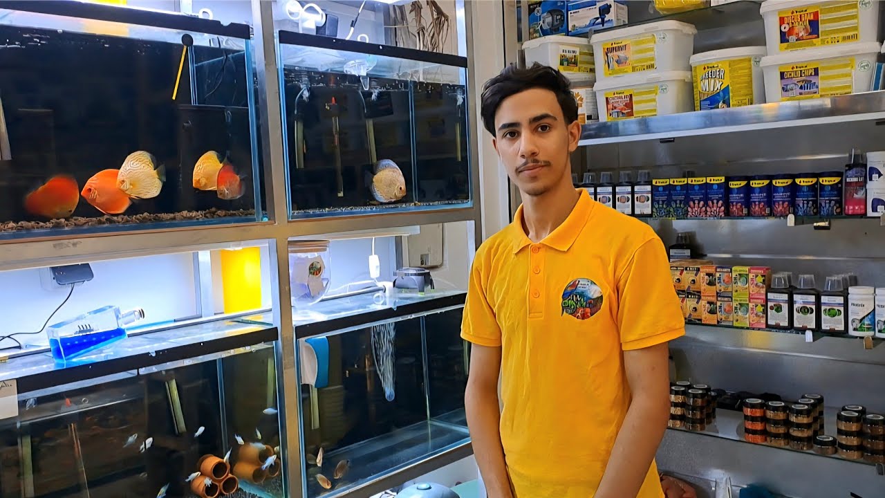 جديد 🐋اسماك بالمغرب 🇲🇦  أنواع عند محل اكوا هوبي بسوق القريعة للطيور والحيوانات بالدار البيضاء