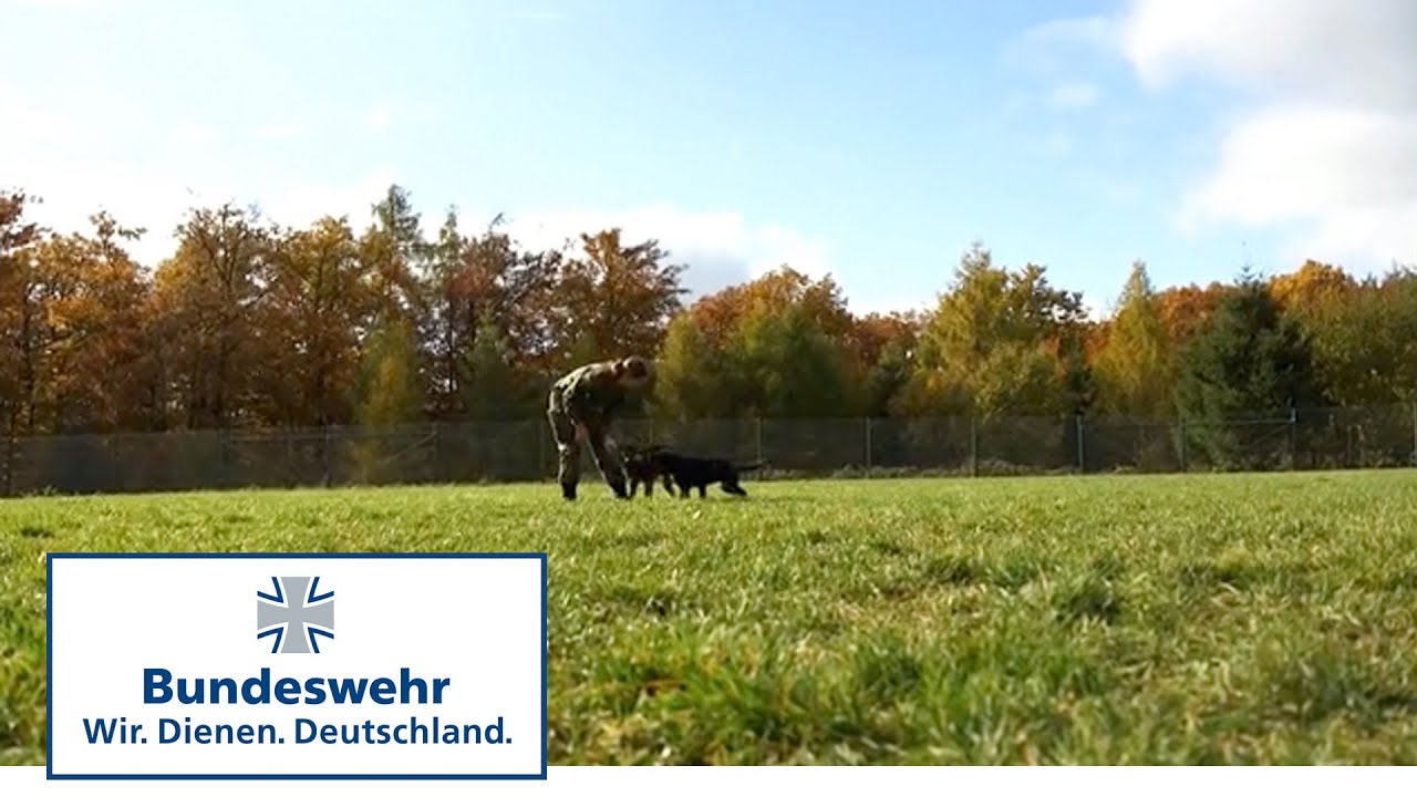 Portr&auml;t: Freiwilliger Wehrdienst rund um den Hund - Bundeswehr