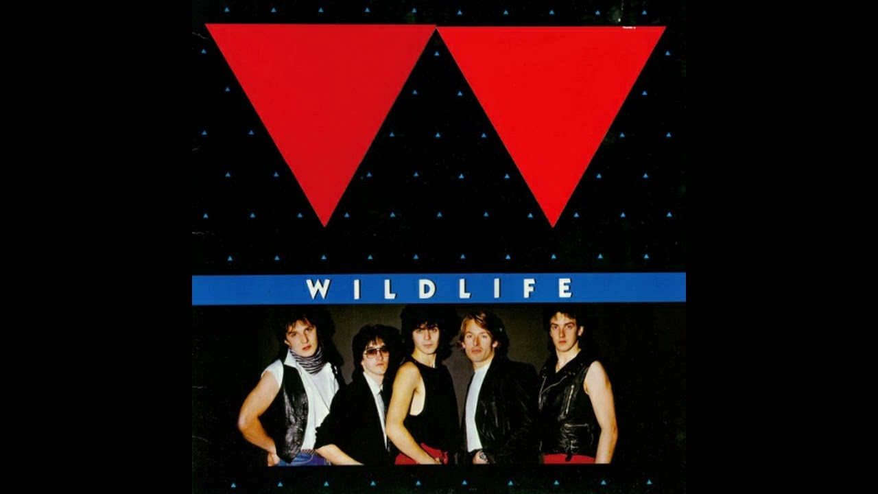 Wildlife - Somewhere In The Night