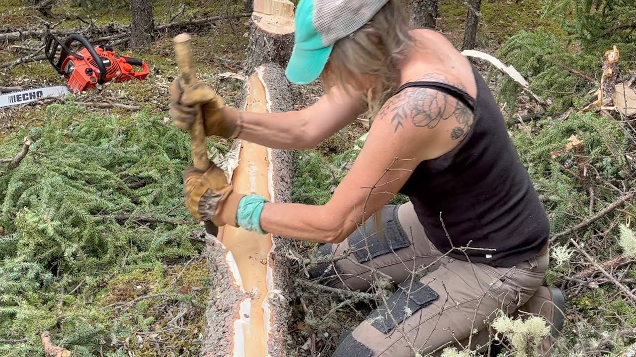 The start of a log Cabin SOLO- harvesting logs