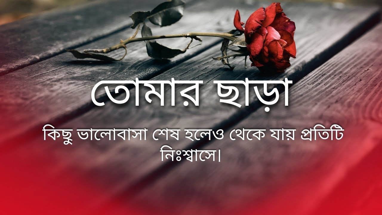 Tomar Chara (তোমার ছাড়া) | New Bangla Emotional Song 2025 #TomarChara #BanglaSong #BreakupSong