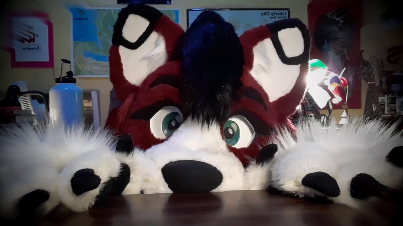 How furries ask for cuddles