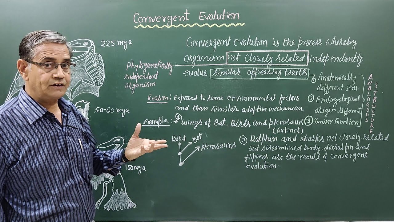 CONVERGENT EVOLUTION