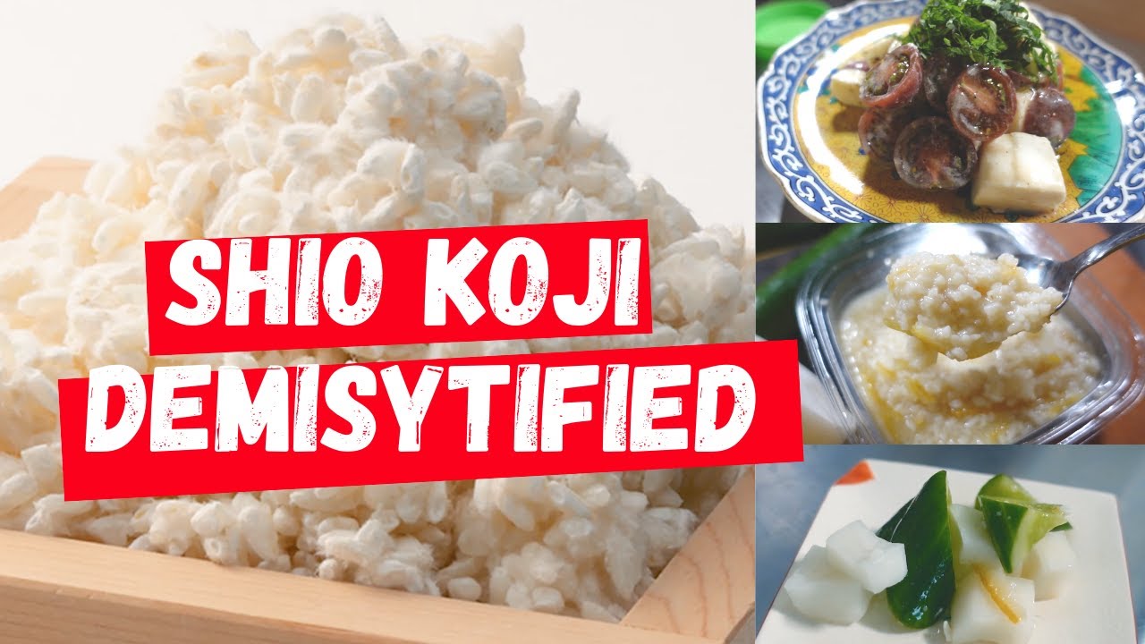 Shio Koji Demystified | Let's Learn Real Japanese Food Cooking | Japanese Food Ambassador