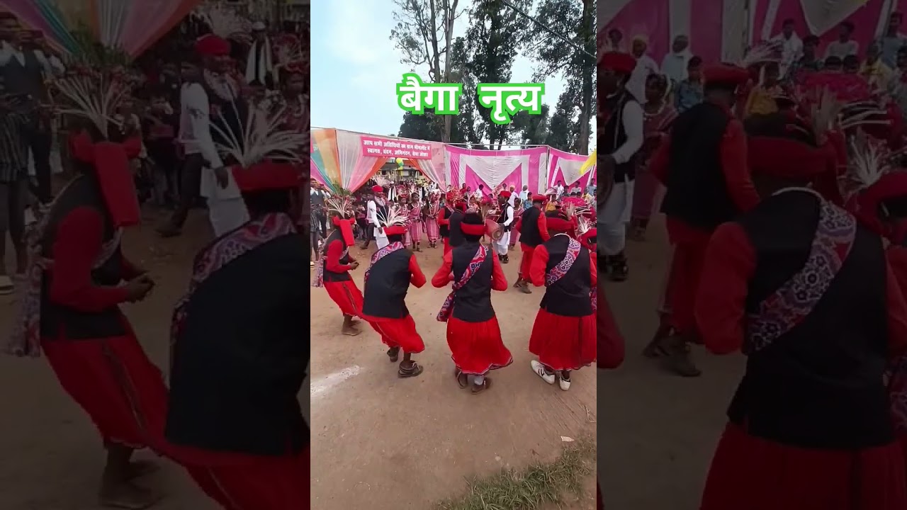 baiga dance video #sort #tribal #flokdance #viral