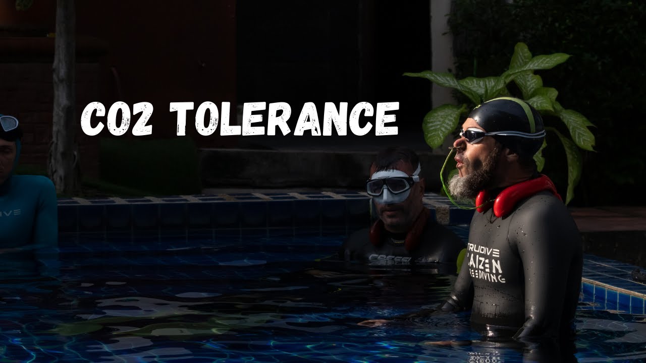How Freedivers ACTUALLY Improve CO2 Tolerance