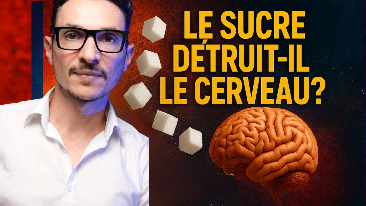 Que fait le sucre sur notre cerveau?