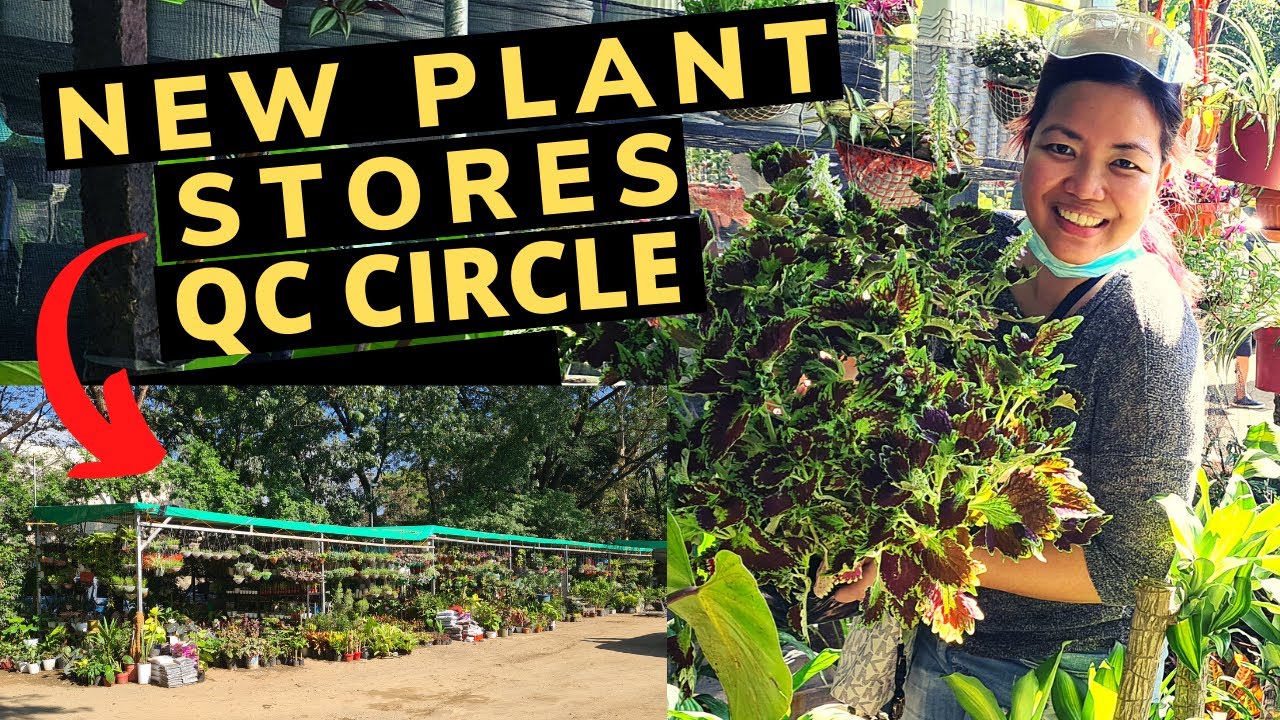 NEW SPOT for PLANT SHOPPING in QC CIRCLE 🍀| PLANT NURSERY TOUR Philippines💕