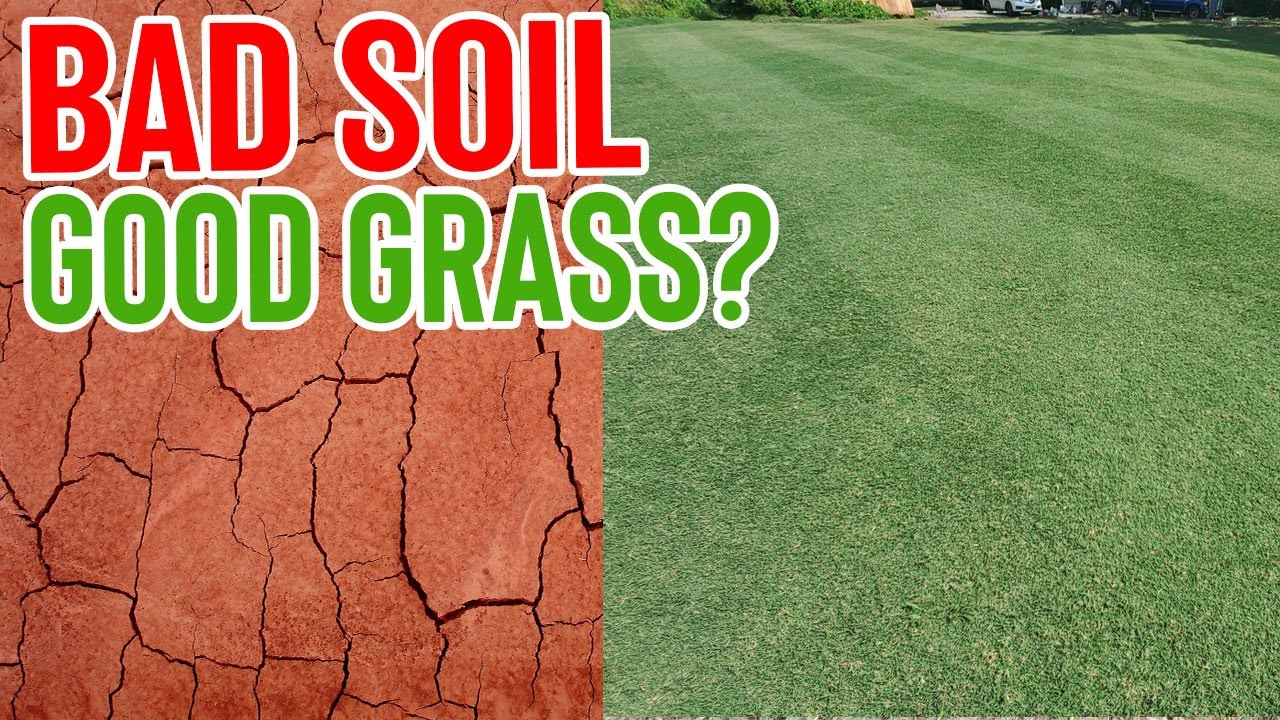 Unbelievable: Can Bad Soil Grow Good Grass?