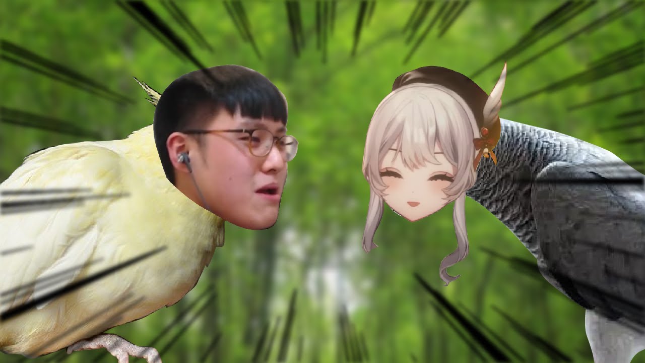 兩隻鳥在吵架｜【鳥鳥、灰妲】#Vtuber精華