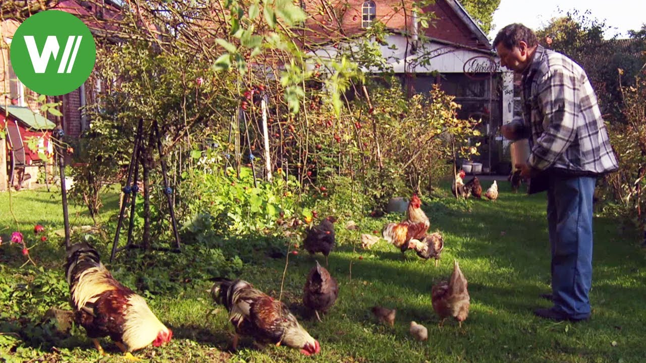Der Garten im Herbst - Kompost ansetzen und Weidenzaun bauen