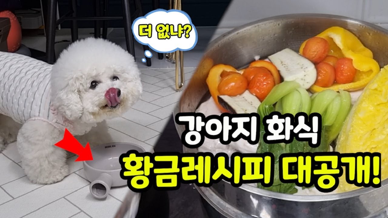 강아지화식 황금 레시피 대공개│실패 없는 강아지화식 만들기【강아지 화식 자연식 놀라운 효능│강아지가 먹으면 좋은 야채, 채소 8가지】
