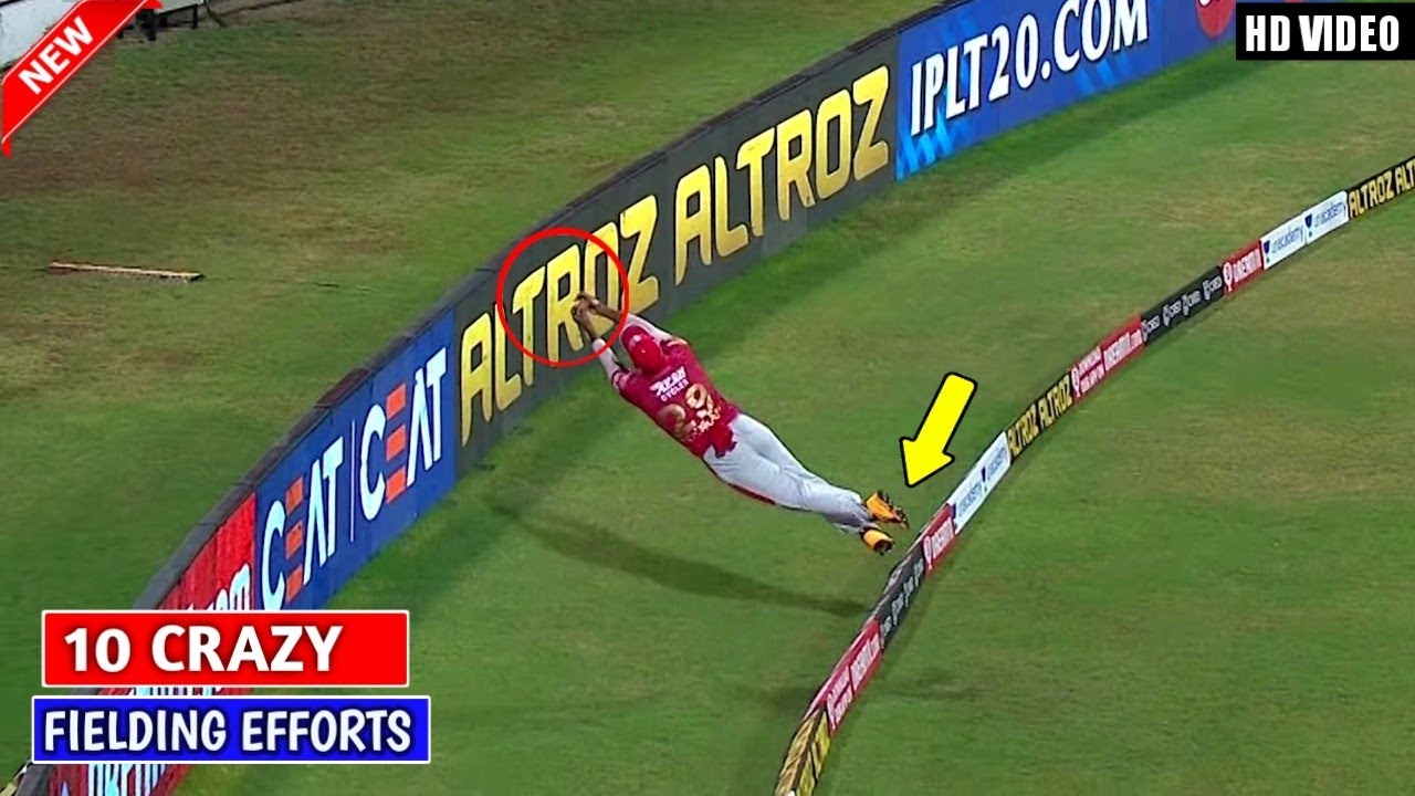 10 Crazy Fielding efforts in Cricket || Insane fielding moments || CrickCut