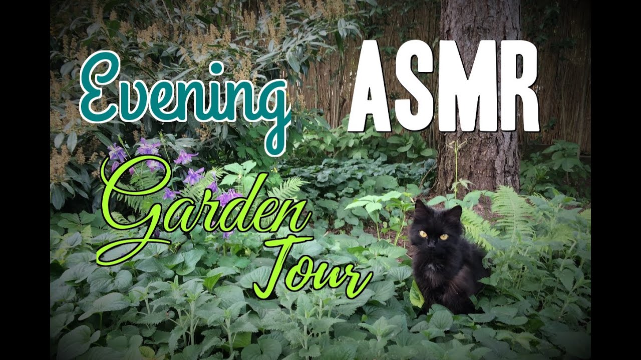 ASMR - Evening garden tour (soft male voice)