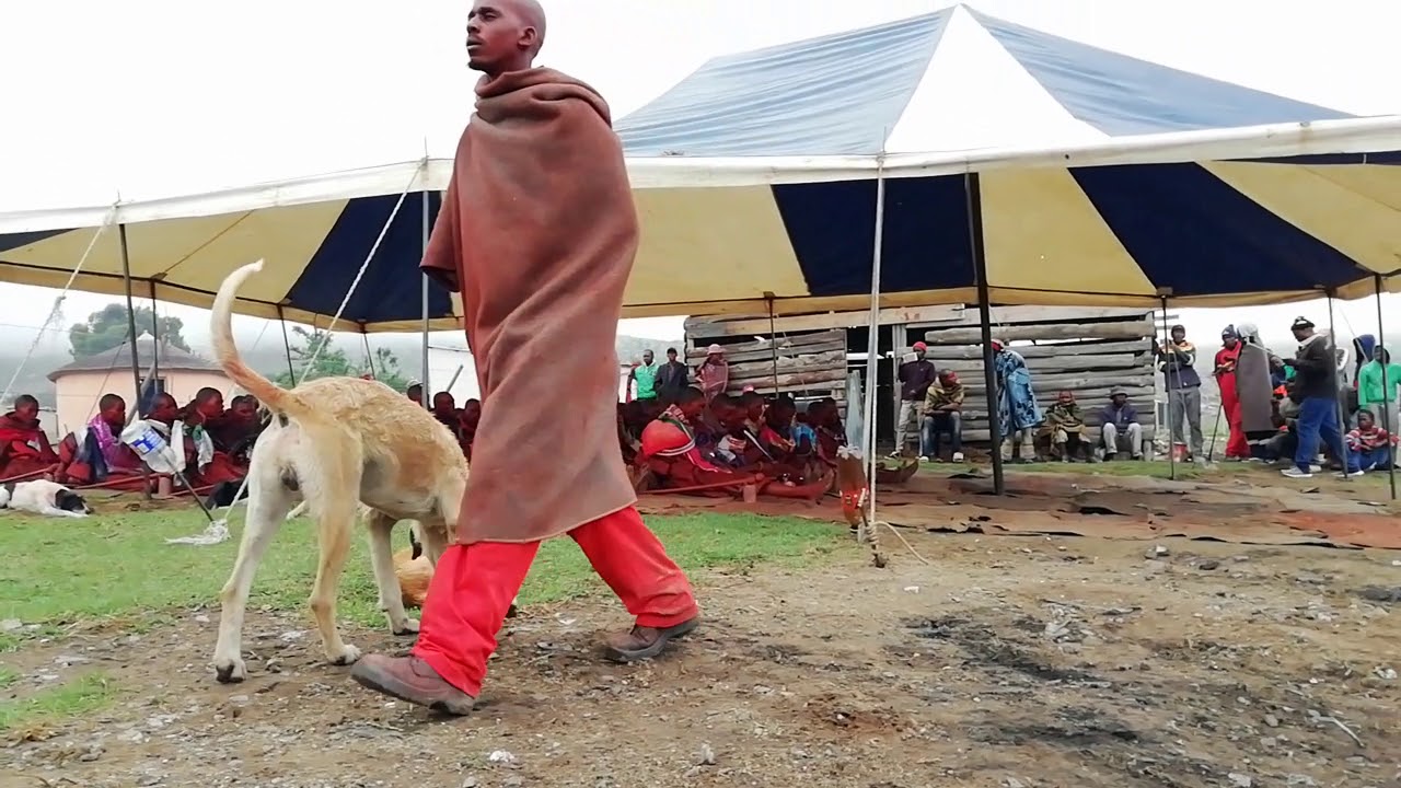 Amahlubi akwaMgubho matatiele  2018
