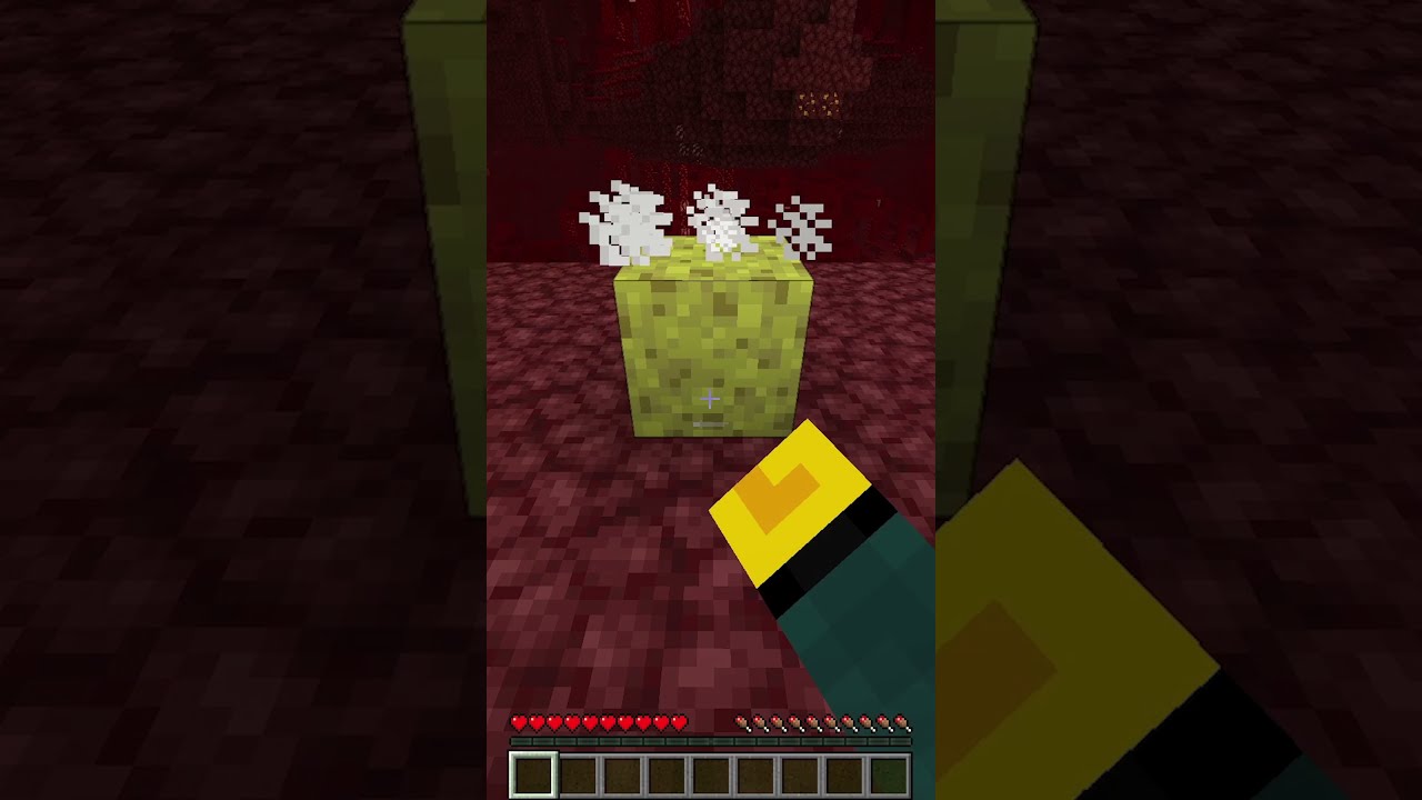 Minecraft Sponge Tricks