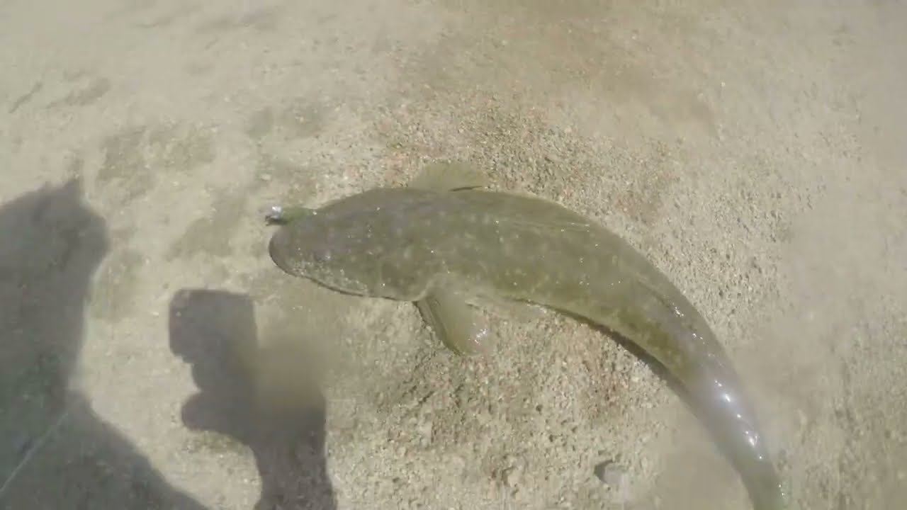 Bermagui fishing/diving