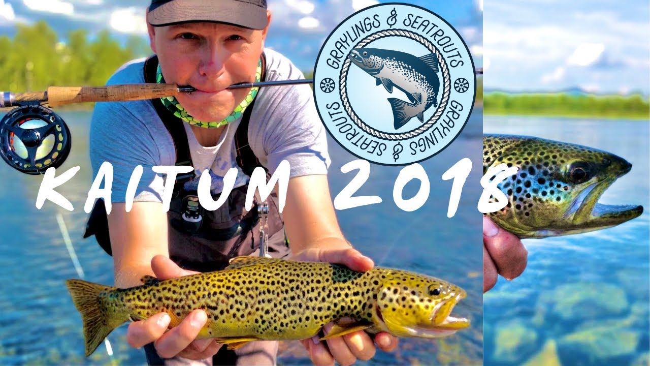 Kaitum 2018