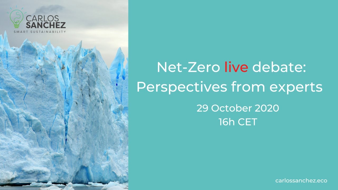 Net-Zero live debate: Perspectives from experts.