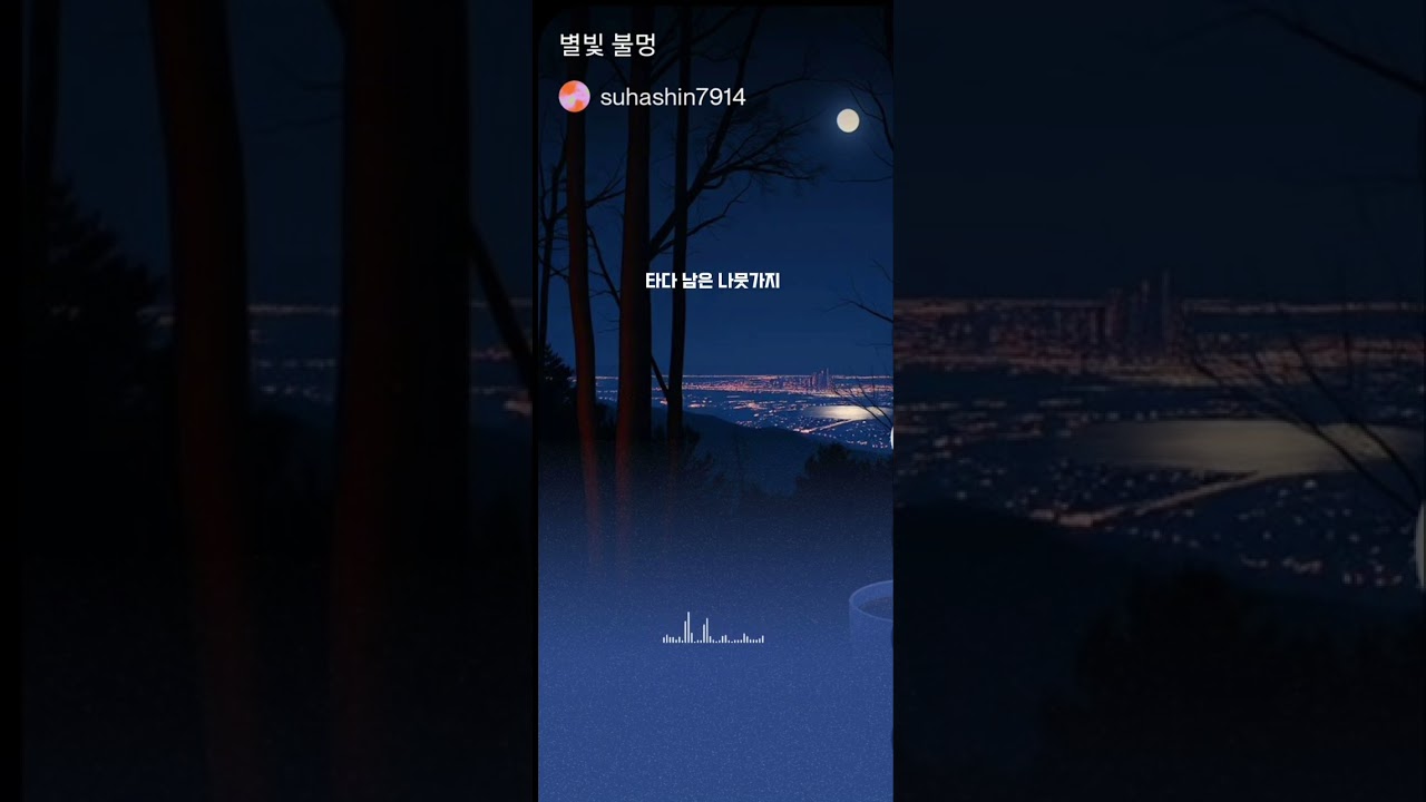 별빛 불멍 Full ver.