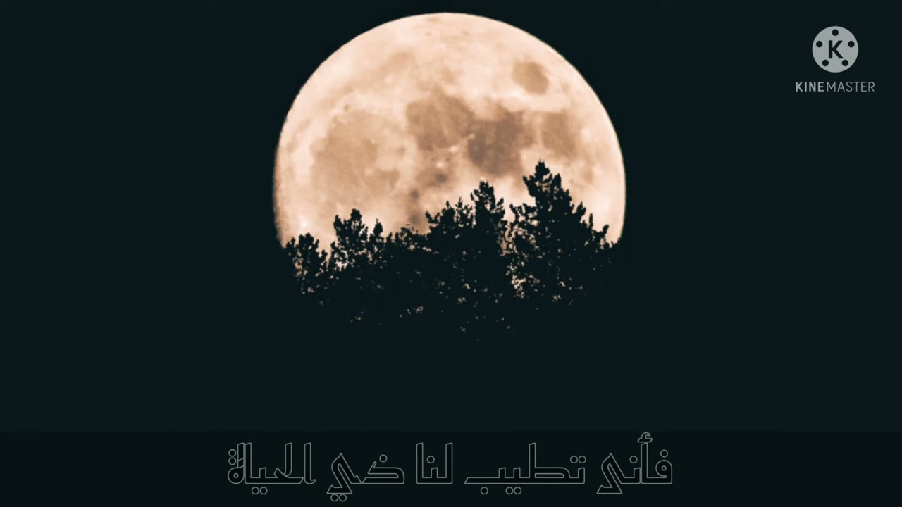 Y2Mate is   كشوق الليالي لضوء القمر بطيئ بطيئة محمد العمري slowed and reverb #islam #slowed #quran #