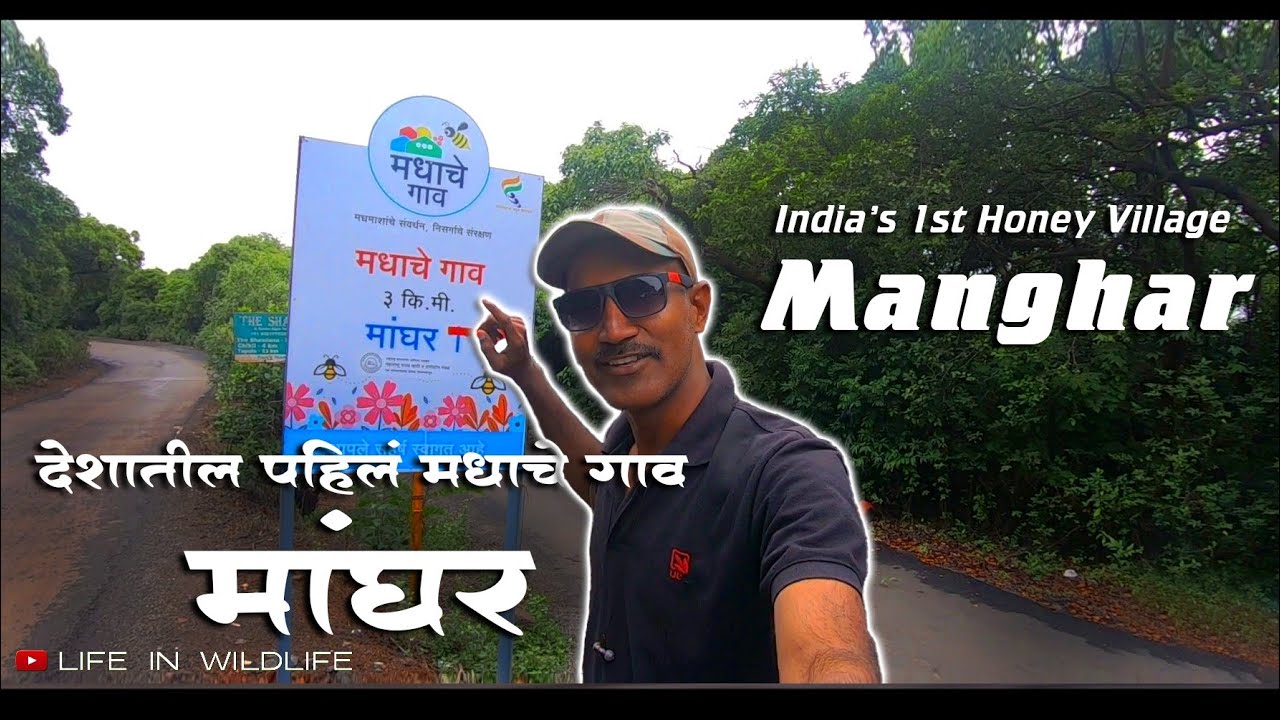 देशातील पहिलं मधाचे गाव- मांघर | First Honey Village in India- Manghar | Mahabaleshwar | महाबळेश्वर