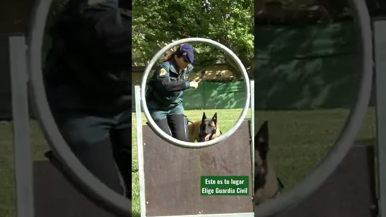 Elige Guardia Civil. Este es tu lugar