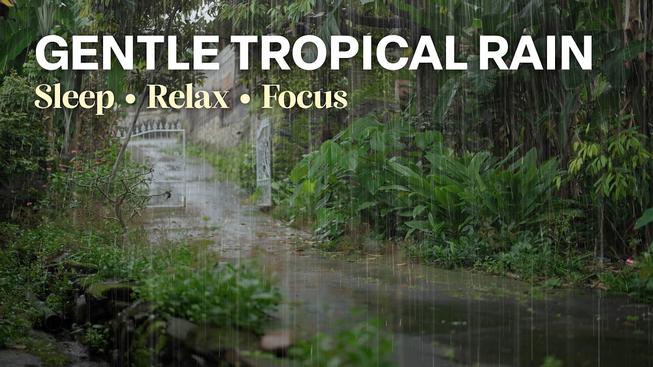 4K Light Rain in a Tropical Garden for Deep Sleep & Relaxation #natureambience #sleepsounds #asmr