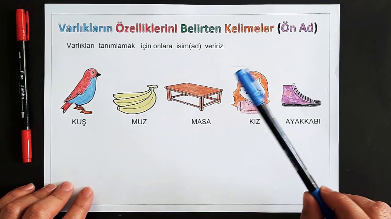 2. SINIF Varlıkların &Ouml;zelliklerini Belirten Kelimeler