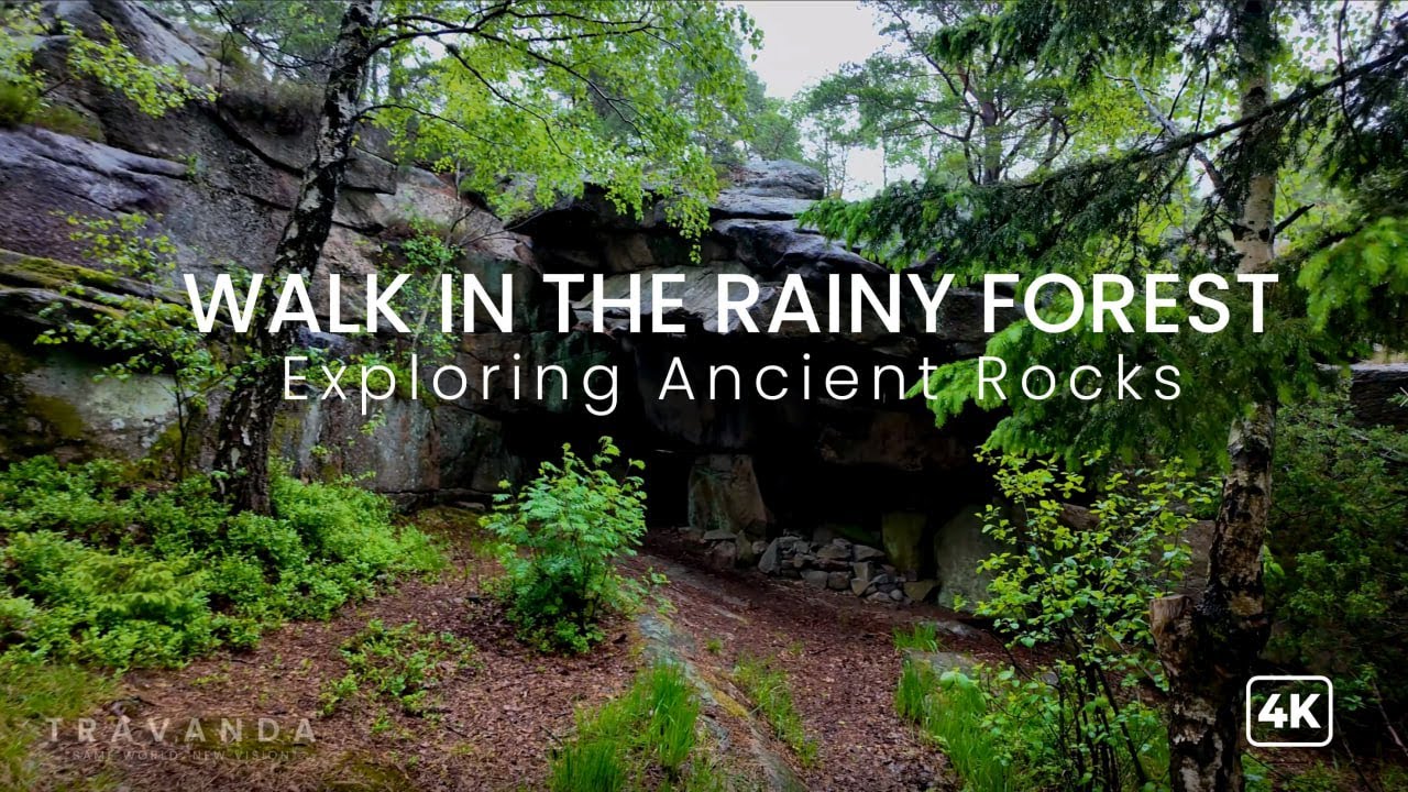 Walking in the Rainy Forest, Exploring Ancient Rocks, Nature Sounds for Relaxation