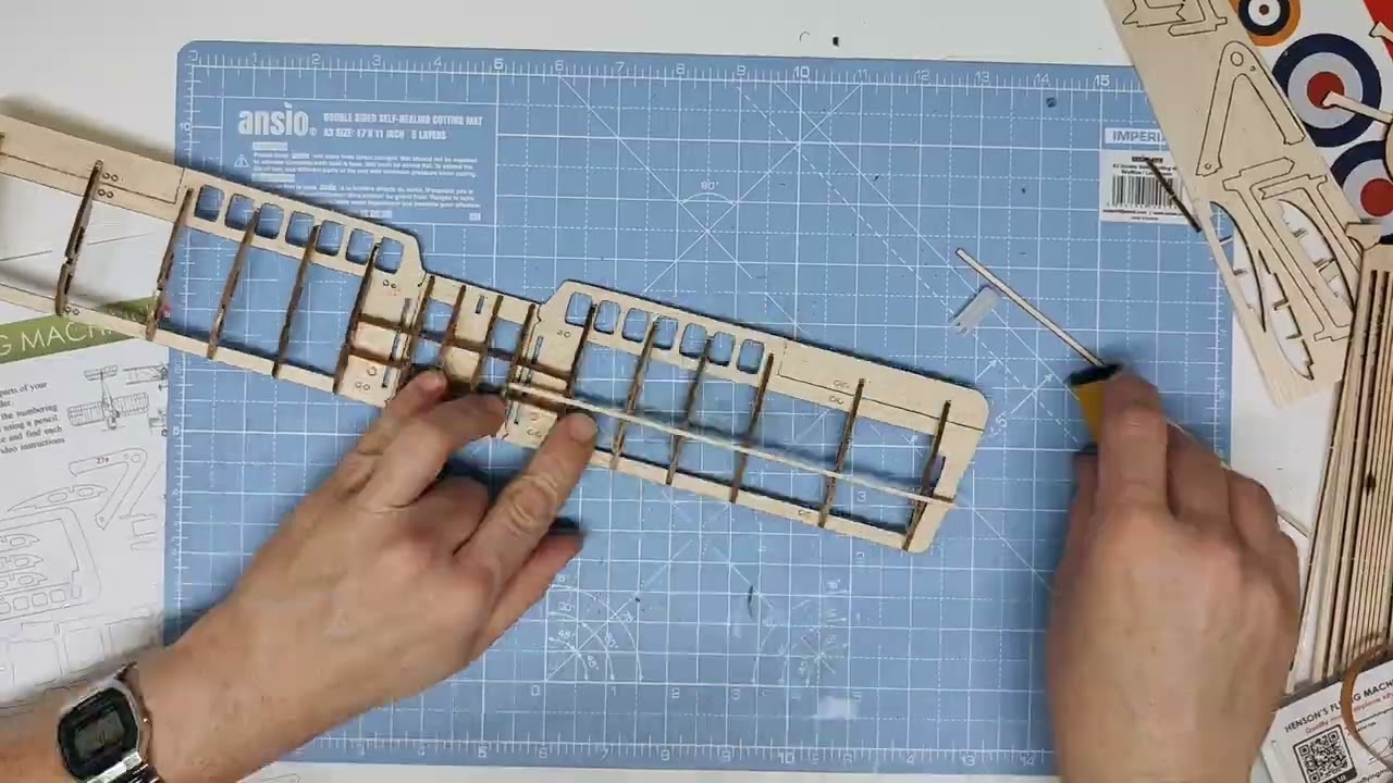 SE5 A timelapse