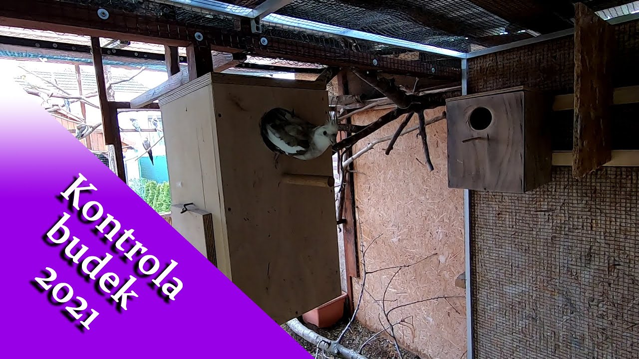 Kontrola budek 2021 │KorelyEu