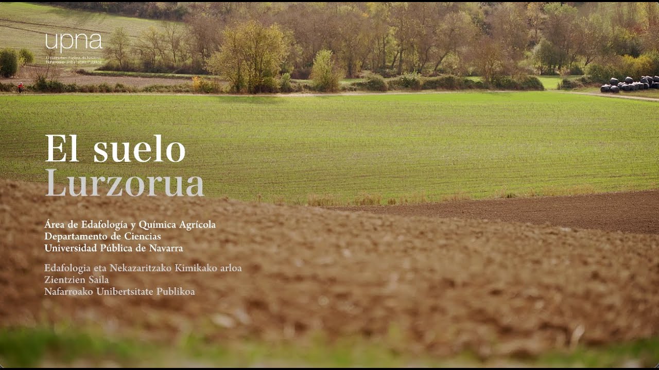El suelo / Lurzorua