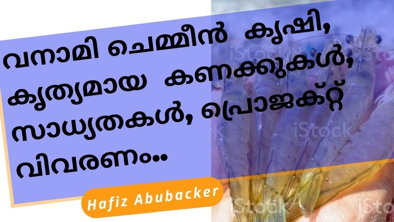 വനാമി ചെമ്മീൻ കൃഷിയുടെ  മുഴുവൻ വിവരങ്ങളും