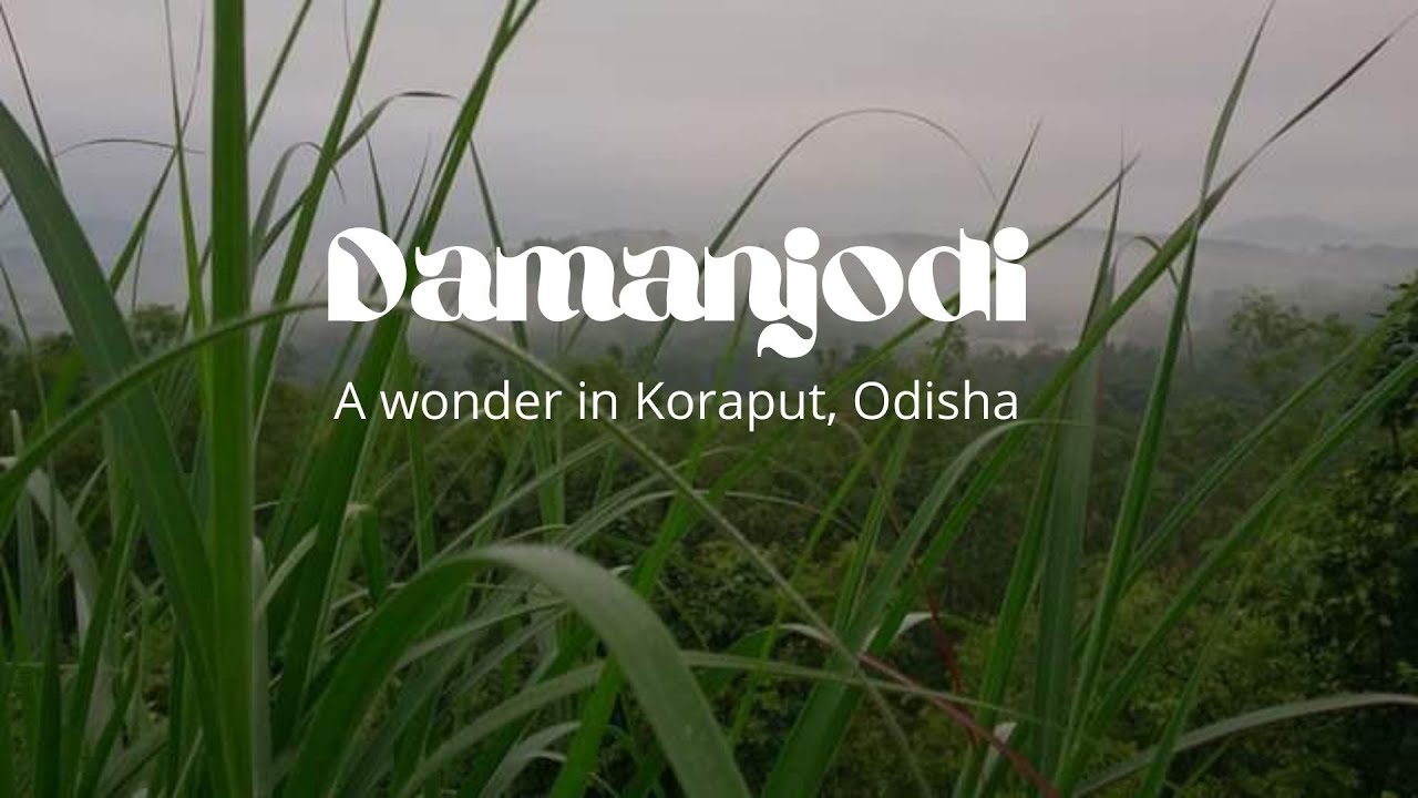 Odisha| Damanjodi Tour| The jewel of Koraput| Offbeat destination| Travel| NALCO Township